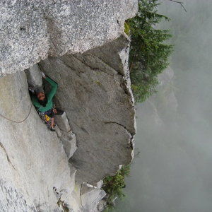 Meet your Posher, Emilisa